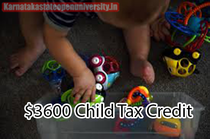 $3600 Child Tax Credit 2024