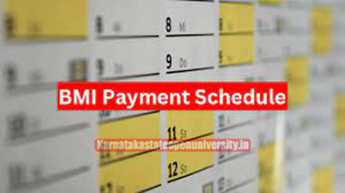 BMI Payment Schedule 2024