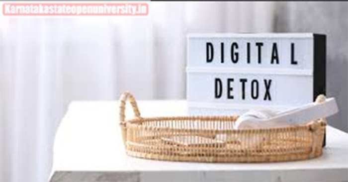 Digital Detox Program