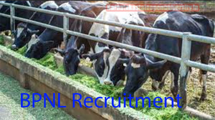 BPNL Recruitment