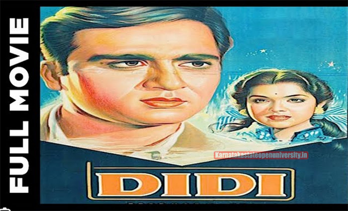 Didi Movie