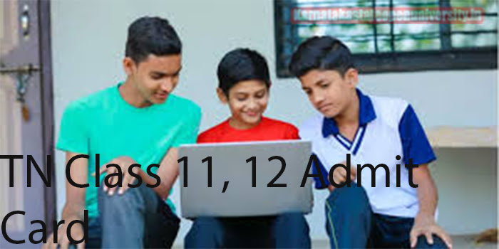 TN Class 11, 12 Admit Card