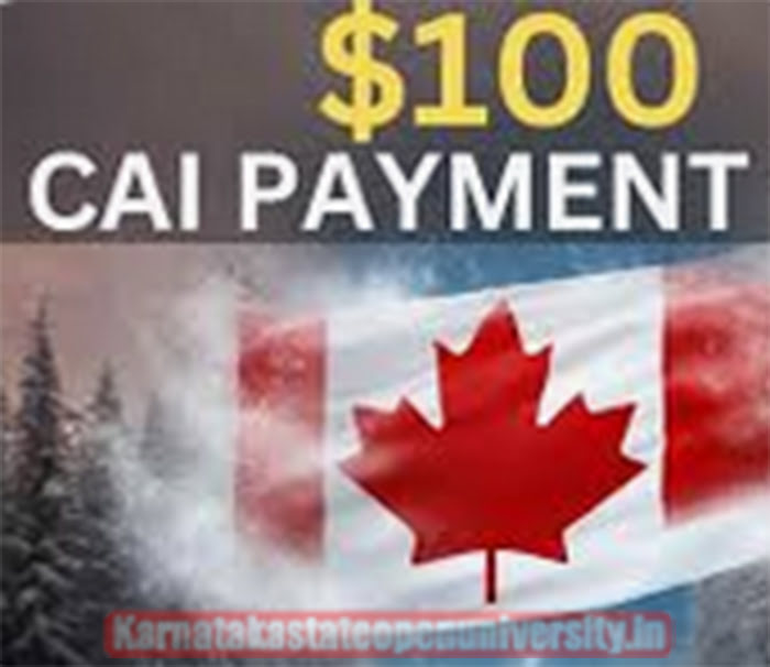 $100 CAI Payment Schedule