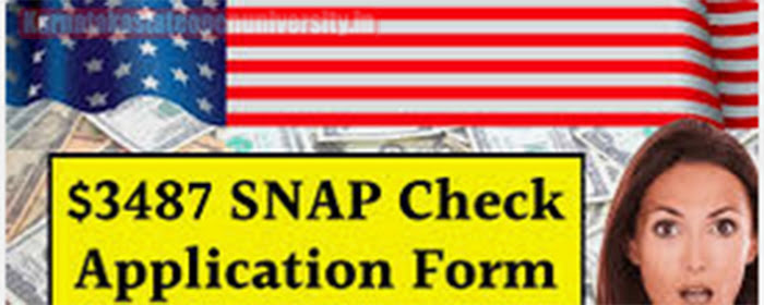 $3487 SNAP Check Application Form