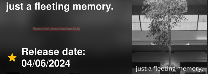 Just A Fleeting Memory Movie