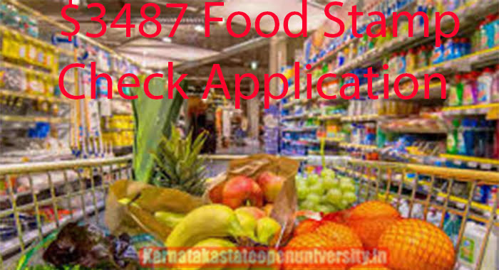 $3487 Food Stamp Check Application Form