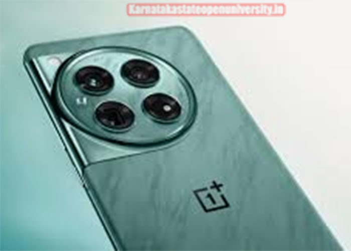 OnePlus 13 Smartphone