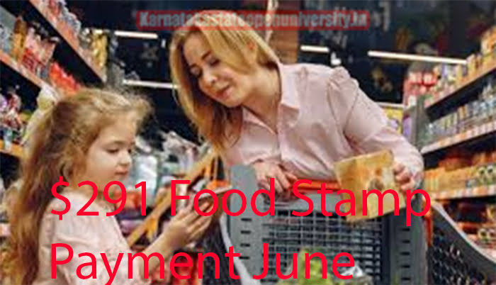 $291 Food Stamp Payment June