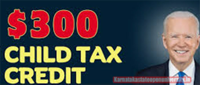 $300 Child Tax Credit Payment Dates 